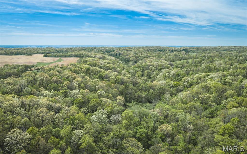 17816 Powerline Road Grafton, IL 62037 - Photo 23 of 47