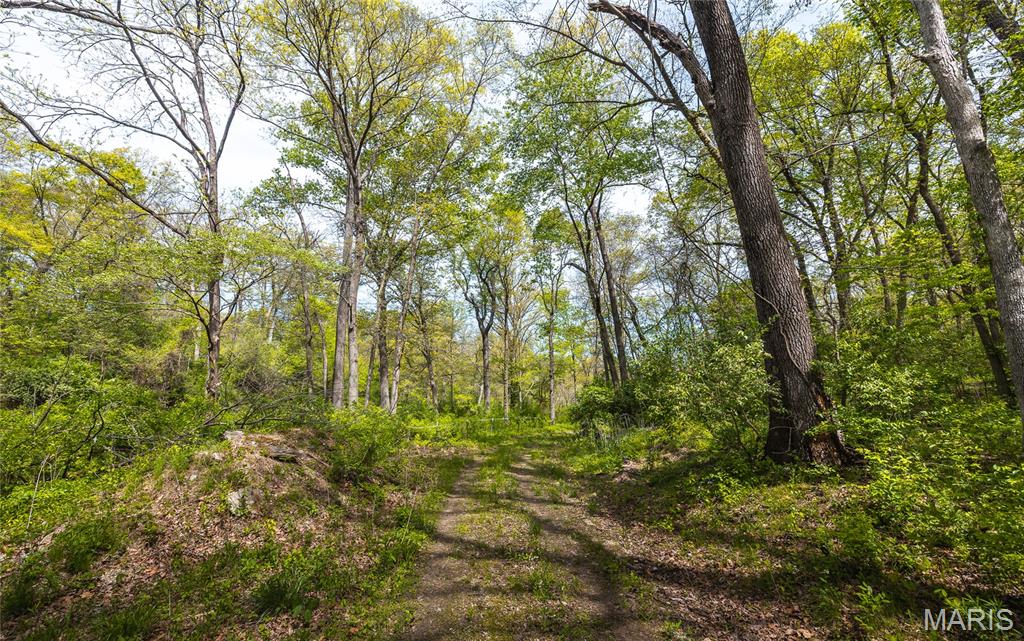 17816 Powerline Road Grafton, IL 62037 - Photo 28 of 47