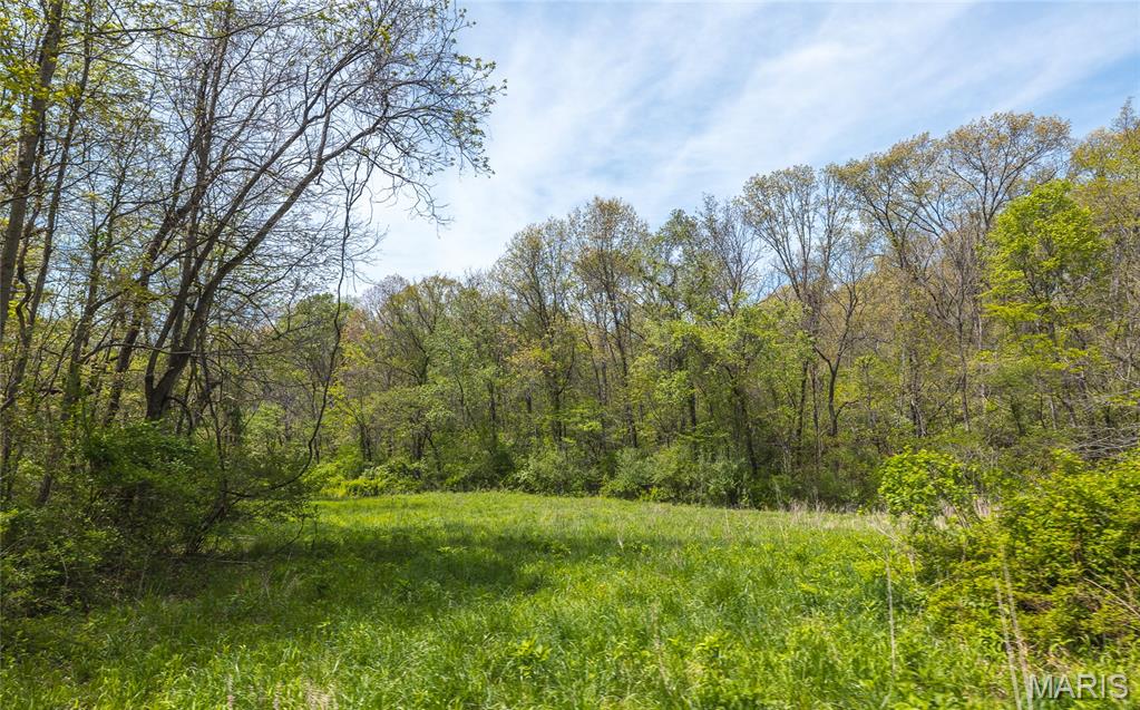 17816 Powerline Road Grafton, IL 62037 - Photo 33 of 47