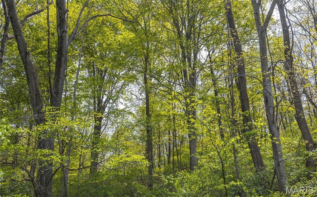 17816 Powerline Road Grafton, IL 62037 - Photo 35 of 47