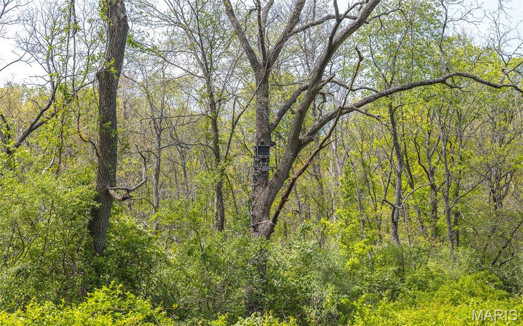 17816 Powerline Road Grafton, IL 62037 - Photo 36 of 47