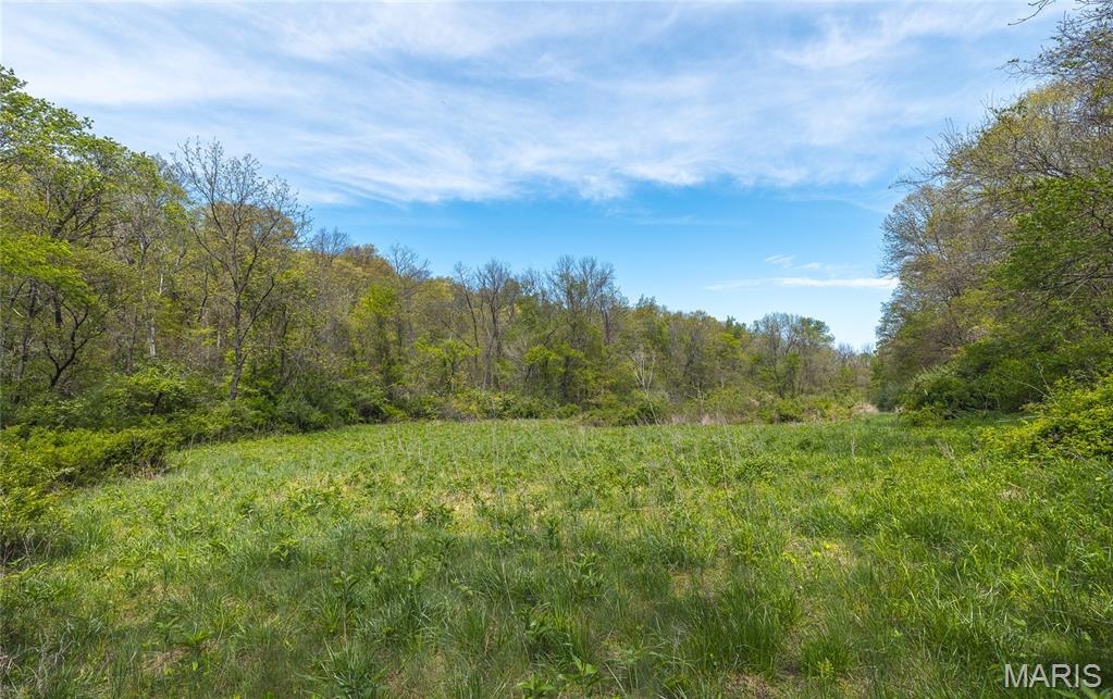17816 Powerline Road Grafton, IL 62037 - Photo 37 of 47