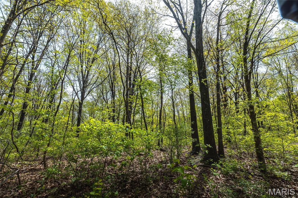 17816 Powerline Road Grafton, IL 62037 - Photo 43 of 47