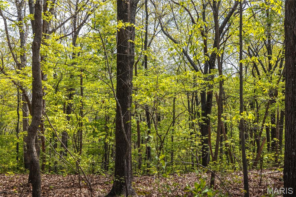 17816 Powerline Road Grafton, IL 62037 - Photo 45 of 47