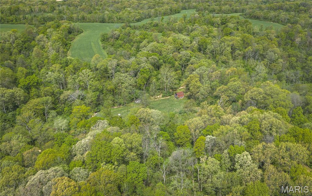 17816 Powerline Road Grafton, IL 62037 - Photo 6 of 47