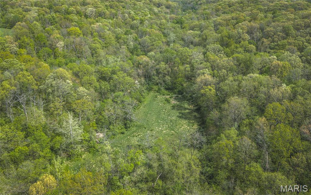 17816 Powerline Road Grafton, IL 62037 - Photo 7 of 47