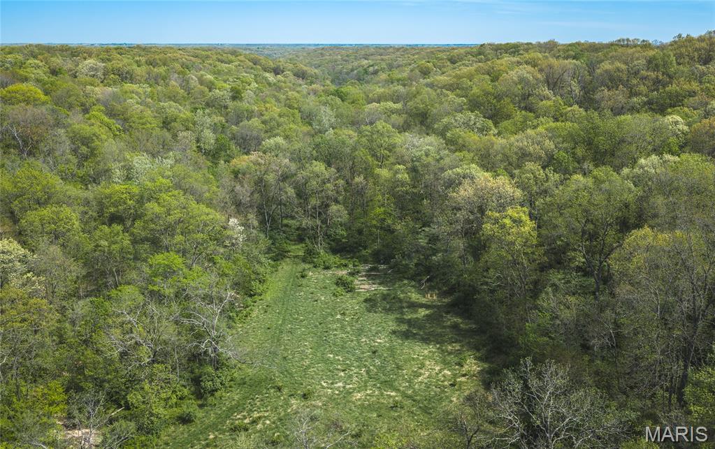 17816 Powerline Road Grafton, IL 62037 - Photo 8 of 47