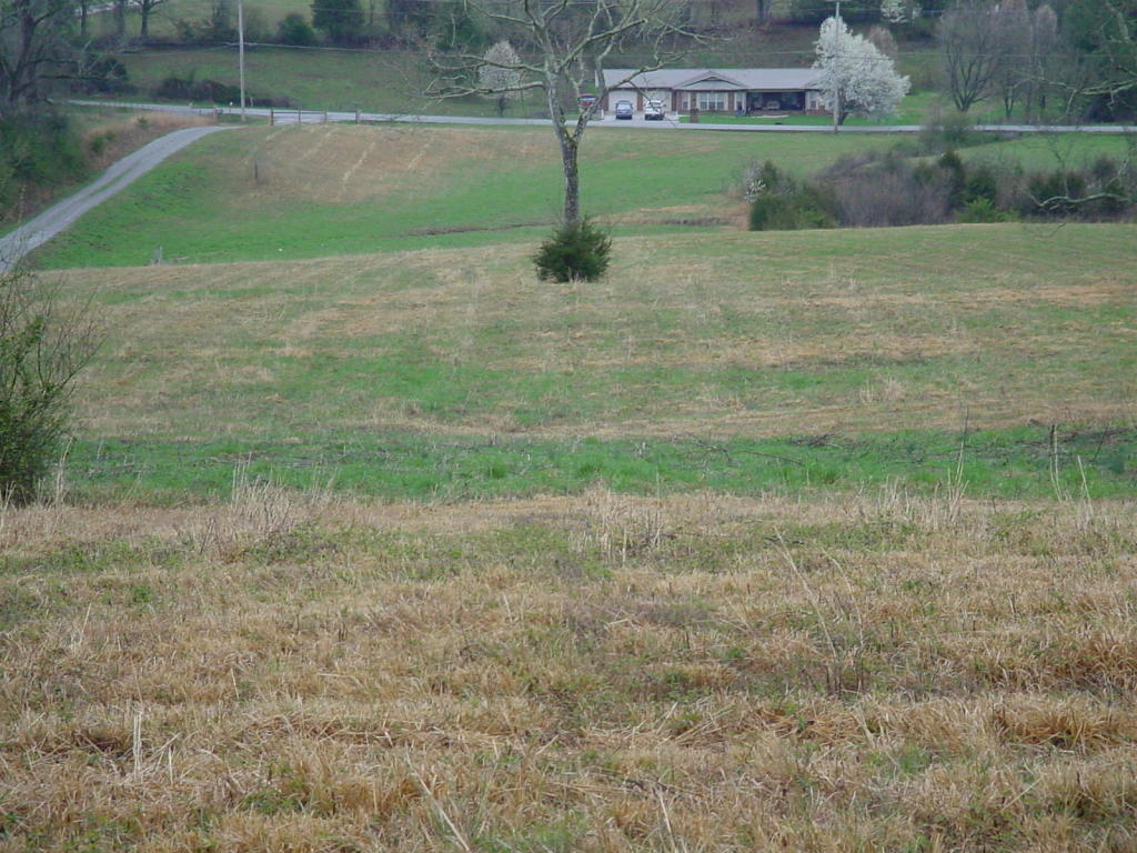 Towe String Road Jacksboro, TN 37757 - Photo 1 of 7 towe 1