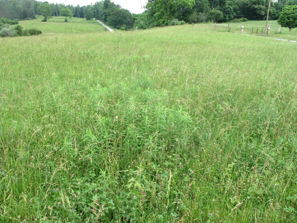 Towe String Road Jacksboro, TN 37757 - Photo 2 of 7 towe 2