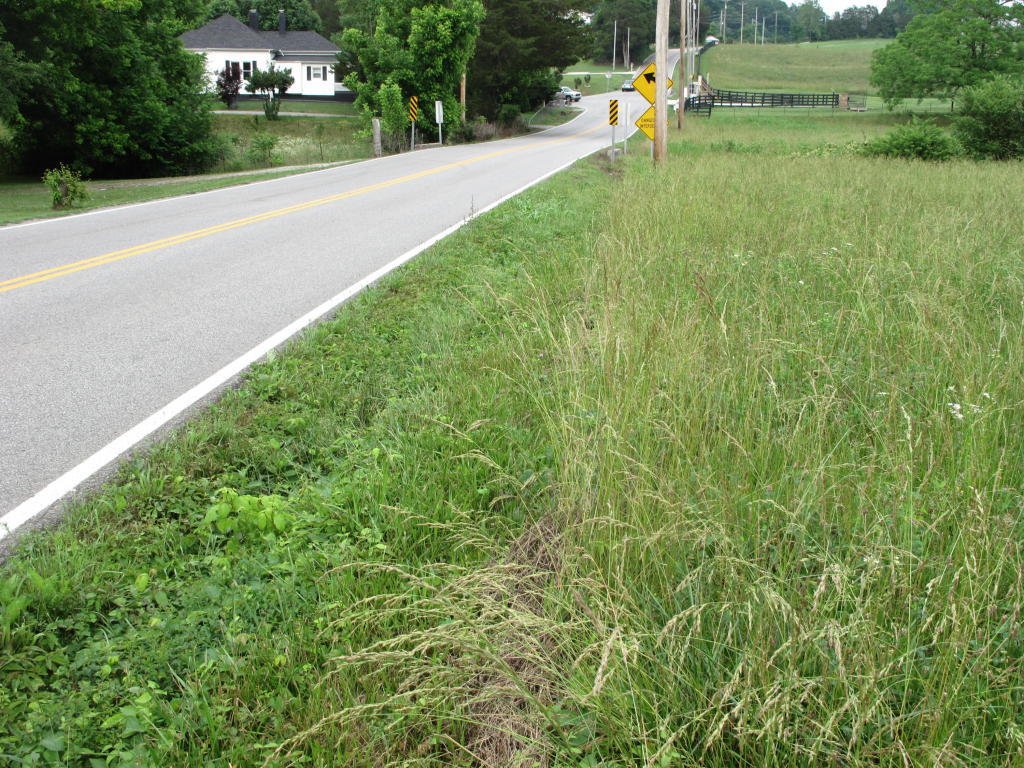 Towe String Road Jacksboro, TN 37757 - Photo 3 of 7 towe 3