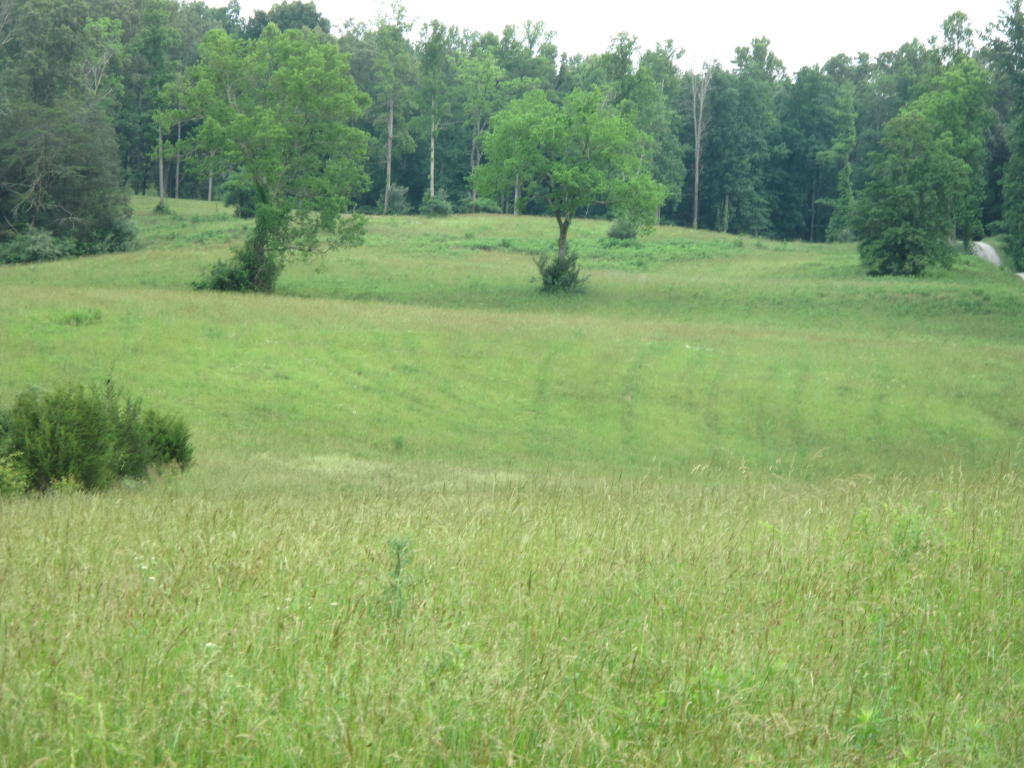 Towe String Road Jacksboro, TN 37757 - Photo 4 of 7 towe 4