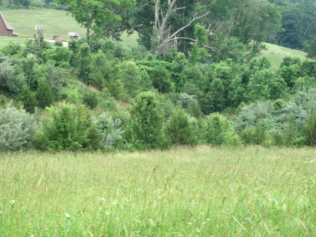 Towe String Road Jacksboro, TN 37757 - Photo 5 of 7 towe 5
