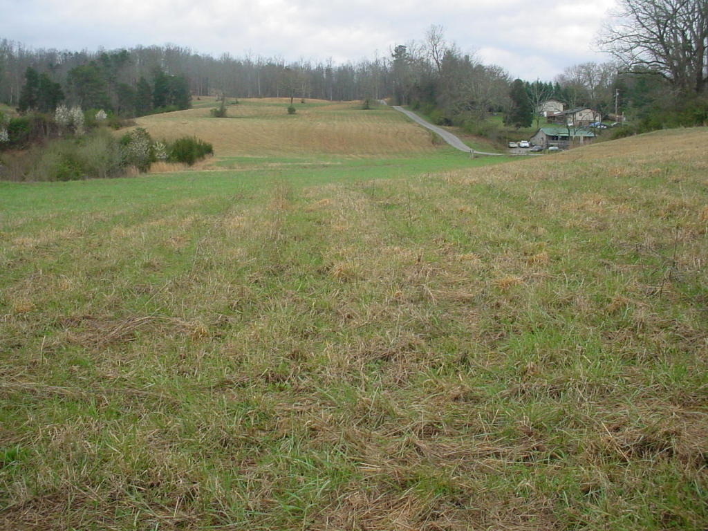 Towe String Road Jacksboro, TN 37757 - Photo 7 of 7 towe 7