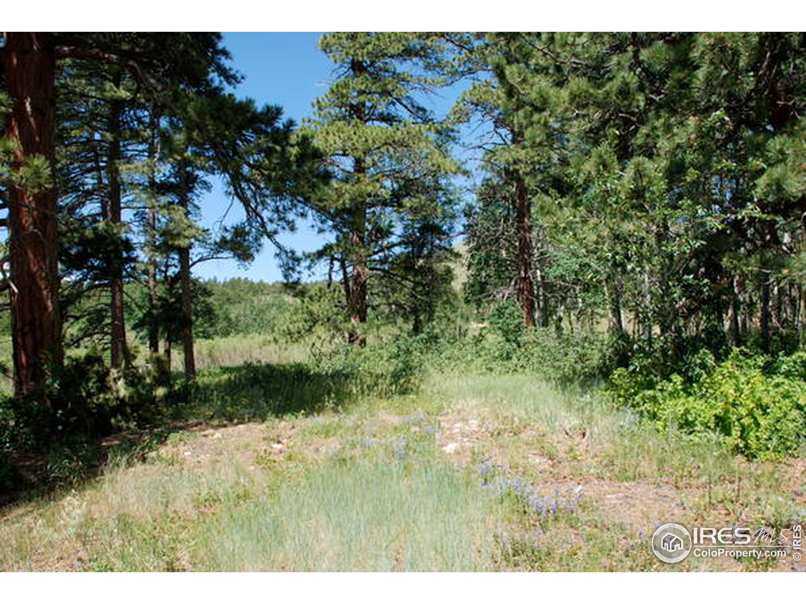 58 Old Post Road Boulder, CO 80302 - Photo 12 of 16
