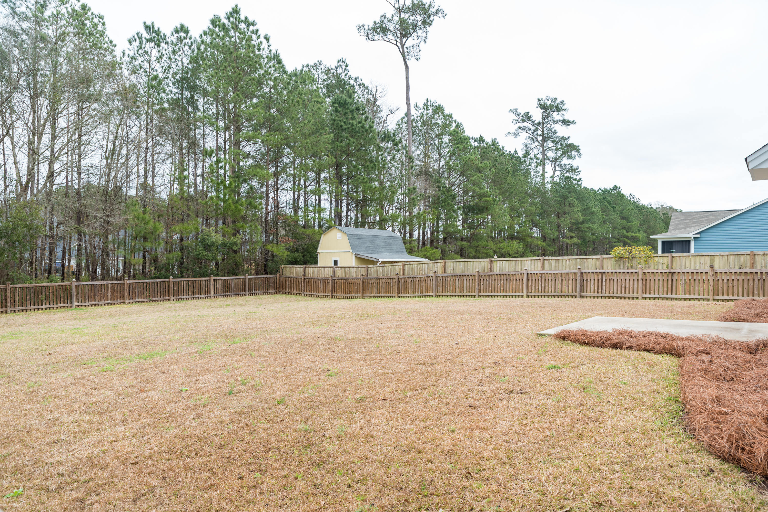 148 Cypress Plantation Road Moncks Corner, SC 29461 - Photo 31 of 37 Large Backyard