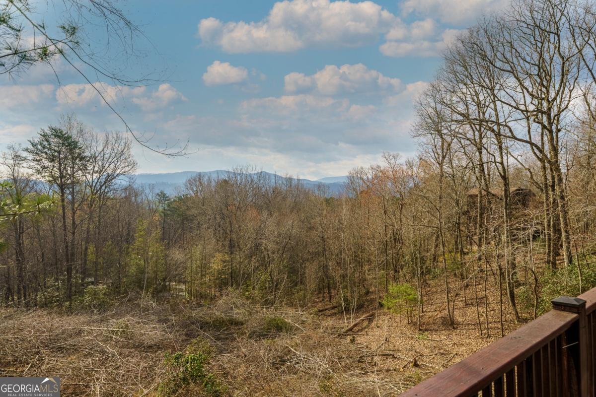 97 Fox Mountain Crossing Blue Ridge, GA 30513 - Photo 15 of 58