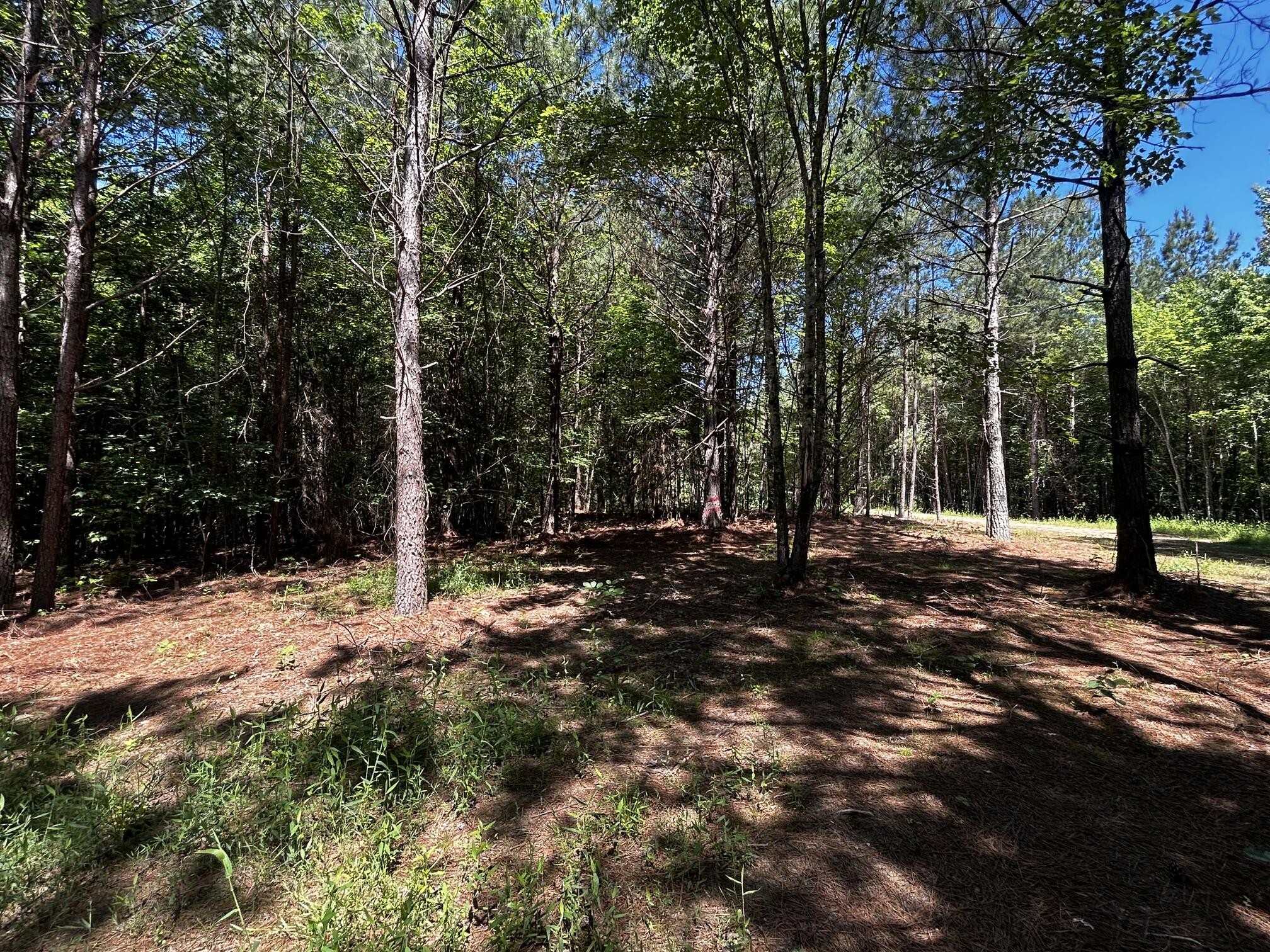 34 Tennessee 304 Ten Mile, TN 37880 - Photo 31 of 42