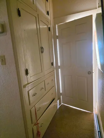 a bathroom with a shower and a toilet