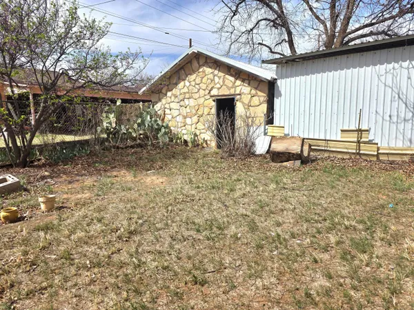 a view of a yard with plants