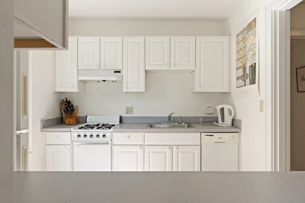 348 Harvard Street, Unit 1 Cambridge, MA 02138 - Photo 4 of 12