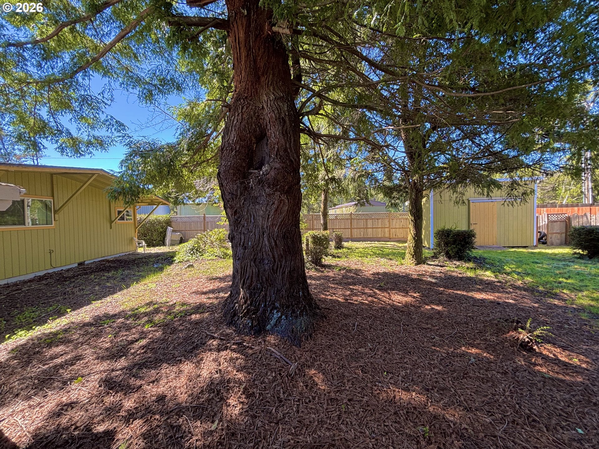 465 North 8th Street Lakeside, OR 97449 - Photo 31 of 38 Backyard