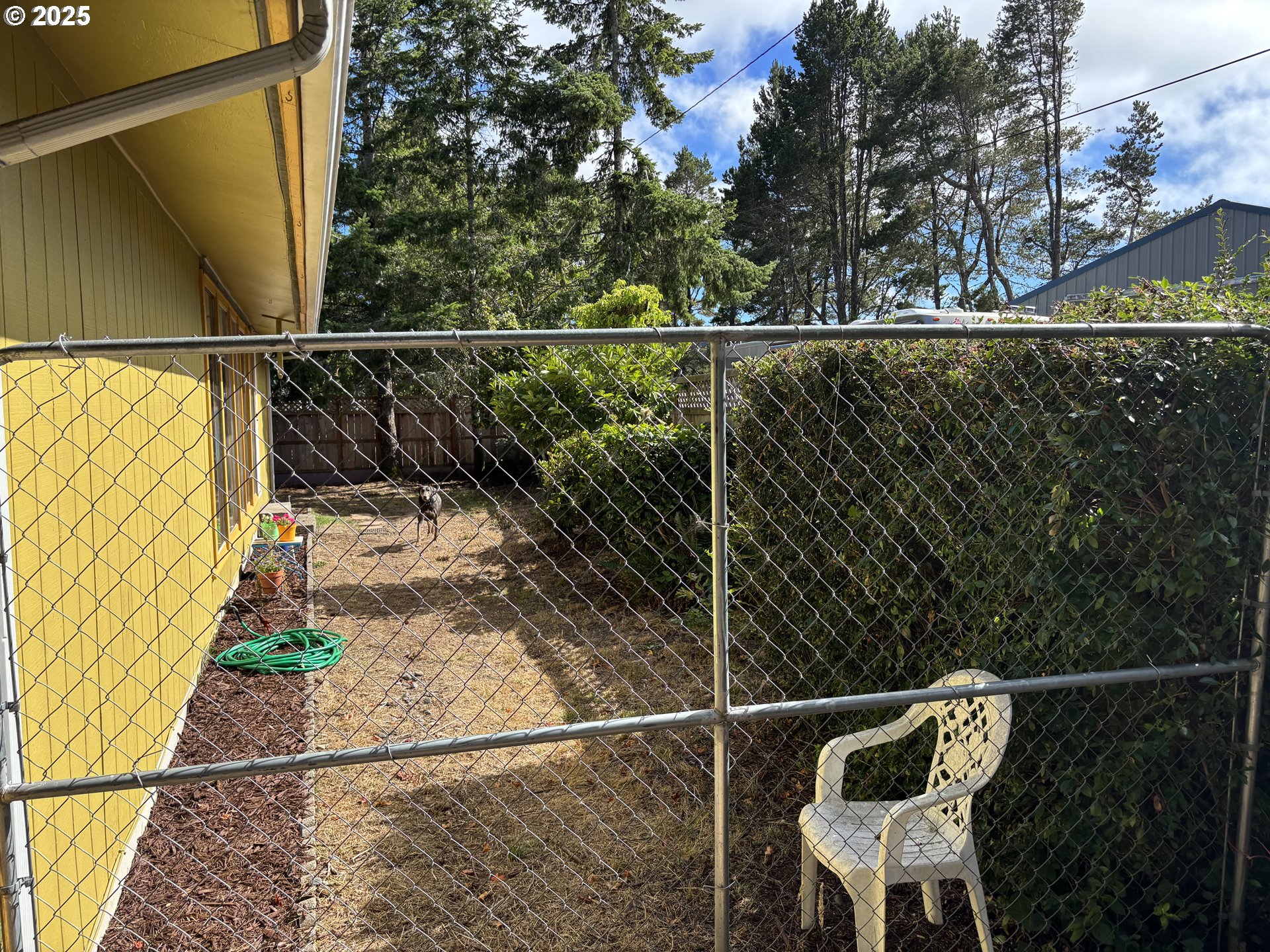 465 North 8th Street Lakeside, OR 97449 - Photo 32 of 38 Backyard