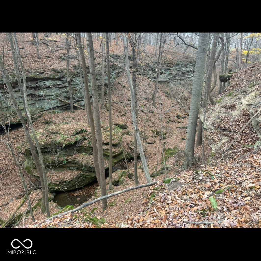 2827 West Wabash Chapel Road Covington, IN 47932 - Photo 14 of 30