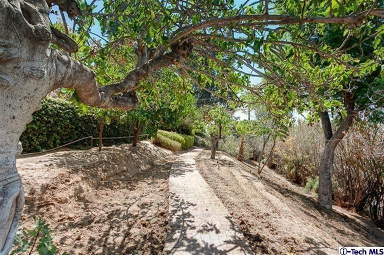 2238 Rim Road Bradbury, CA 91008 - Photo 26 of 27 a view of a yard with plants and trees