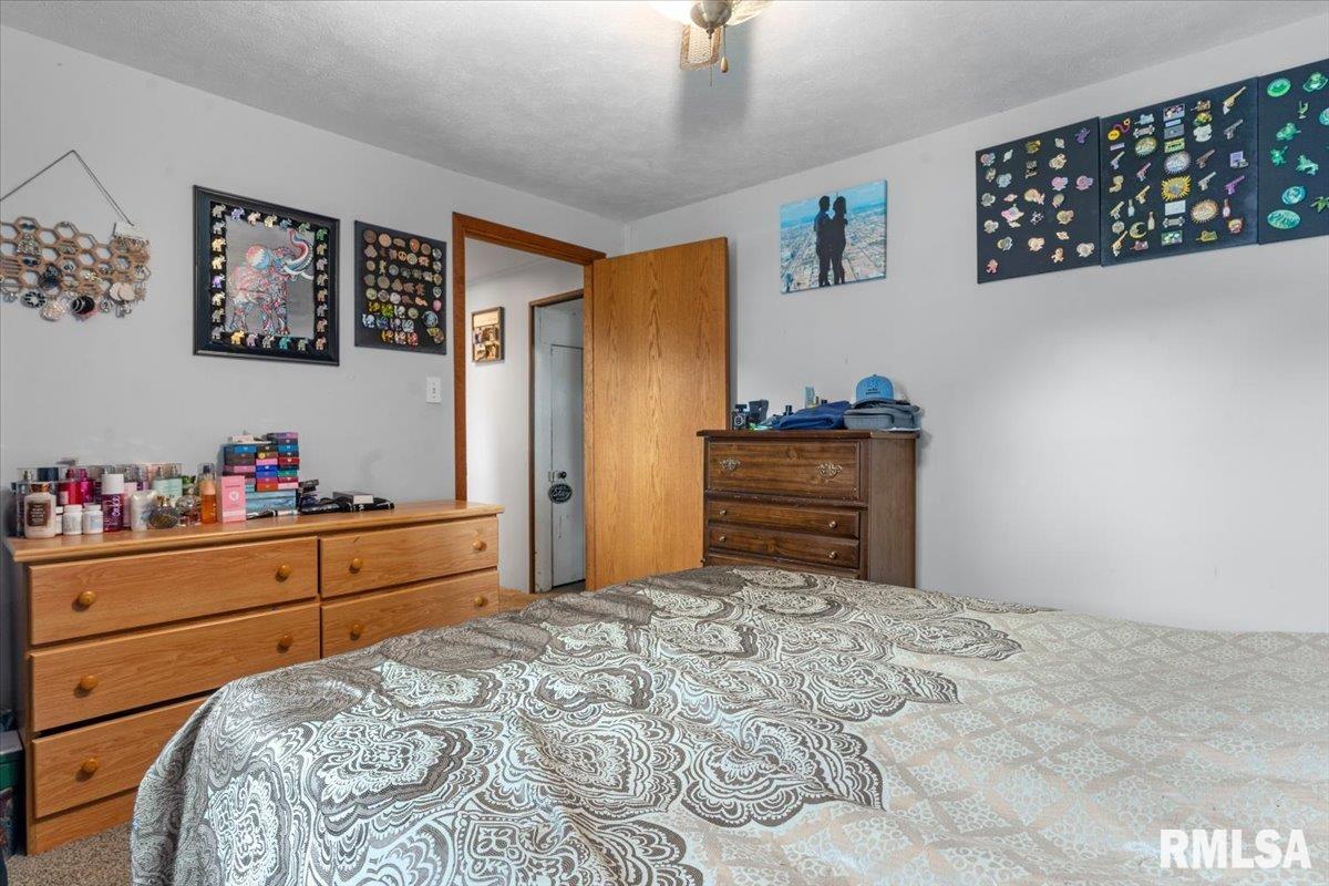 325 West Jackson Street Virden, IL 62690 - Photo 14 of 30
