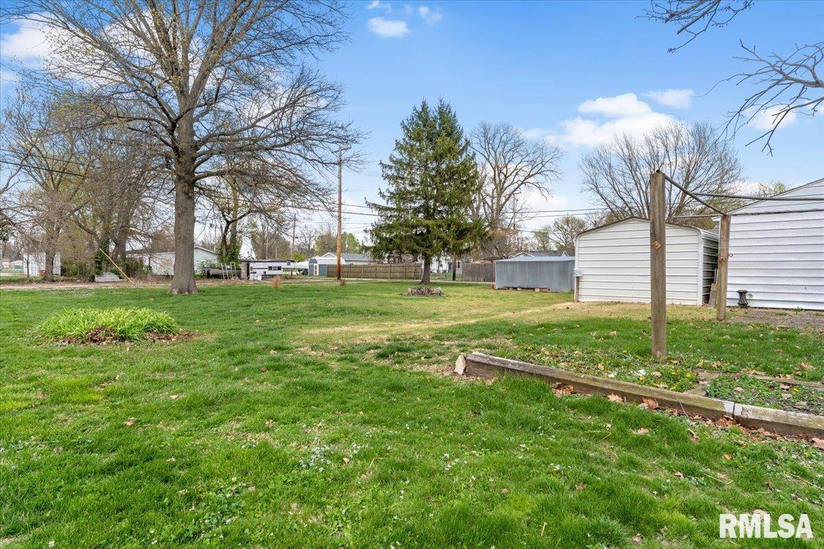 325 West Jackson Street Virden, IL 62690 - Photo 26 of 30
