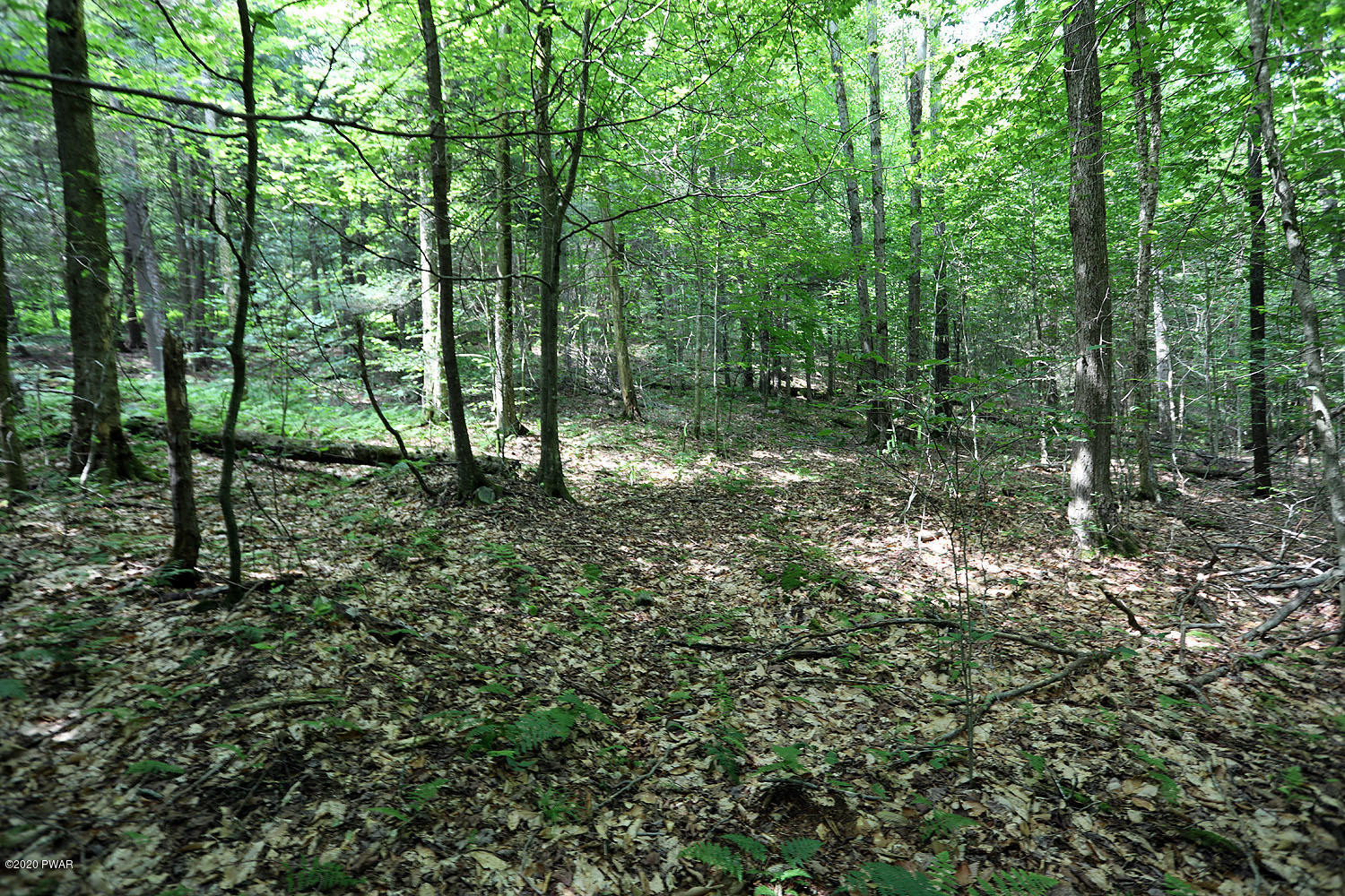 0 Minckler Mountain Road Equinunk, PA 18417 - Photo 34 of 39