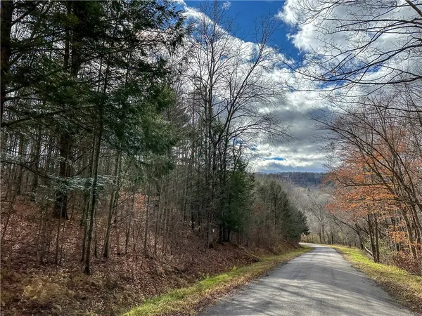 $214,900 | Trapping Brook Road, Wellsville, NY 14895