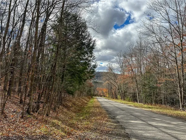 $214,900 | Trapping Brook Road, Wellsville, NY 14895