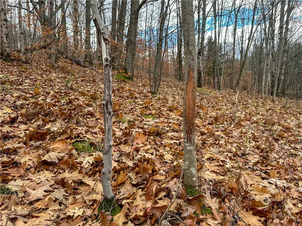 $214,900 | Trapping Brook Road, Wellsville, NY 14895