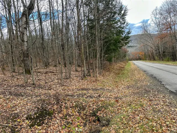 $214,900 | Trapping Brook Road, Wellsville, NY 14895