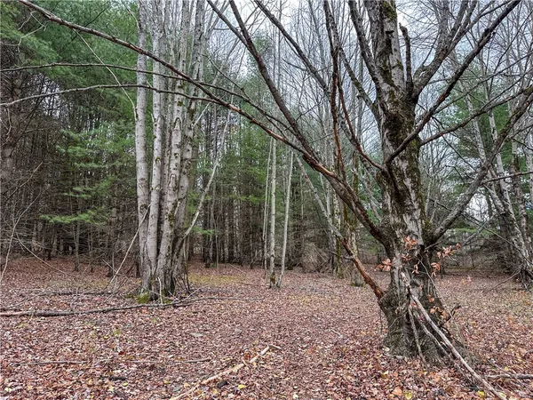 $214,900 | Trapping Brook Road, Wellsville, NY 14895