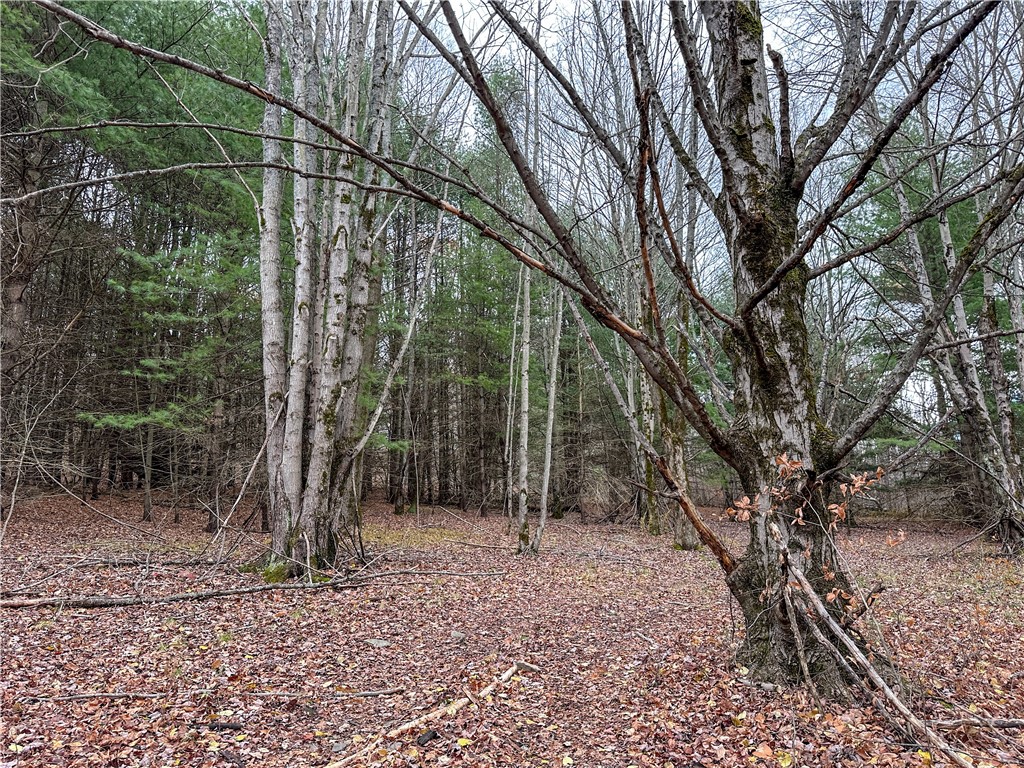 Trapping Brook Road Wellsville, NY 14895 - Photo 14 of 50