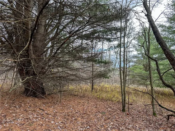$214,900 | Trapping Brook Road, Wellsville, NY 14895
