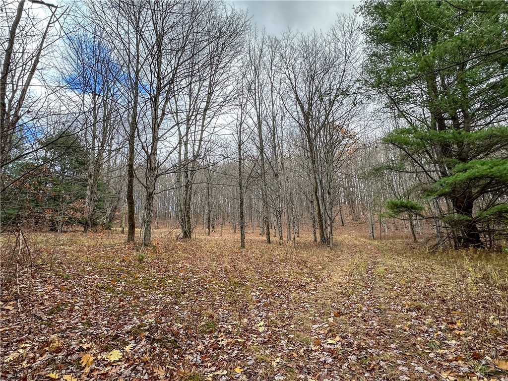 Trapping Brook Road Wellsville, NY 14895 - Photo 16 of 50