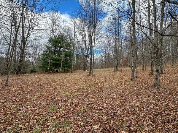 $214,900 | Trapping Brook Road, Wellsville, NY 14895