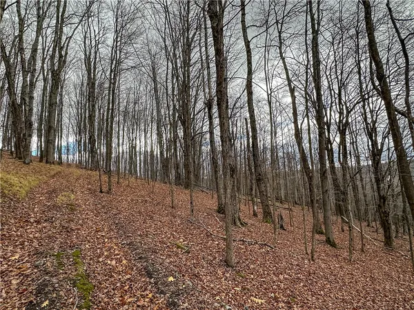 $214,900 | Trapping Brook Road, Wellsville, NY 14895