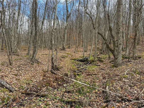 $214,900 | Trapping Brook Road, Wellsville, NY 14895