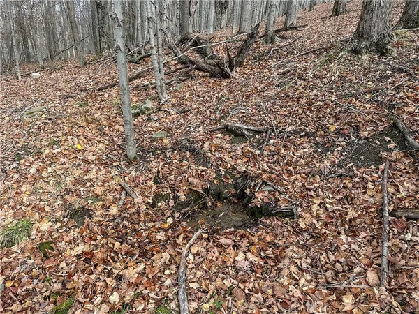 $214,900 | Trapping Brook Road, Wellsville, NY 14895