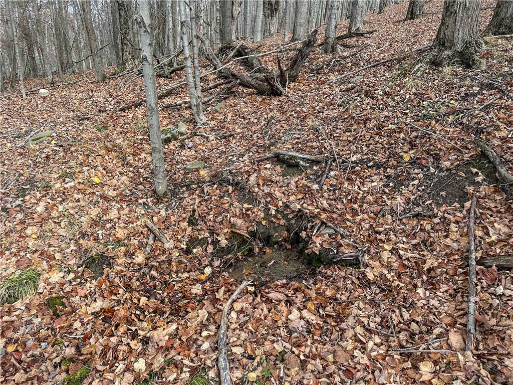 Trapping Brook Road Wellsville, NY 14895 - Photo 20 of 50