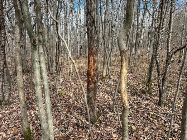 $214,900 | Trapping Brook Road, Wellsville, NY 14895