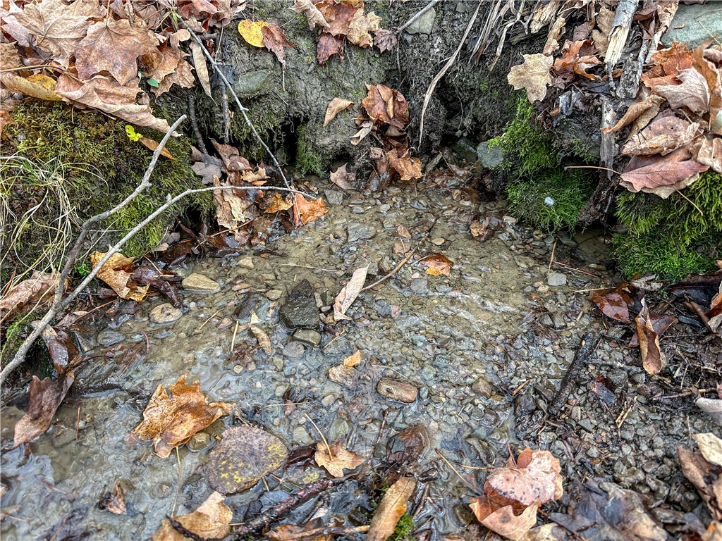 Trapping Brook Road Wellsville, NY 14895 - Photo 21 of 50