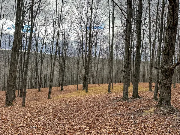 $214,900 | Trapping Brook Road, Wellsville, NY 14895