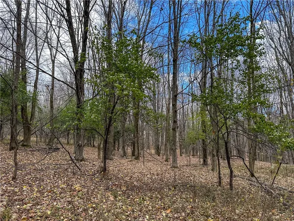 $214,900 | Trapping Brook Road, Wellsville, NY 14895