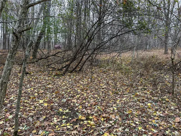 $214,900 | Trapping Brook Road, Wellsville, NY 14895
