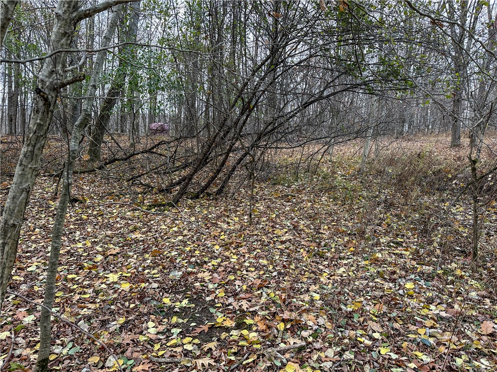 Trapping Brook Road Wellsville, NY 14895 - Photo 24 of 50